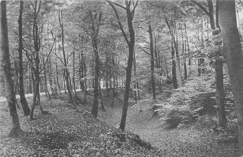 Montferland