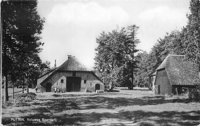 Putten Veluwse Boerderij