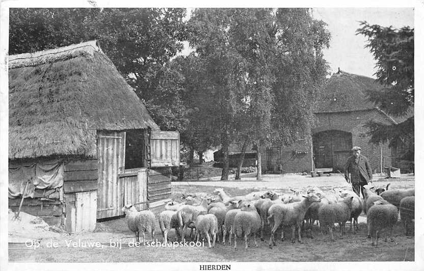 Hierden De Schaapskooi