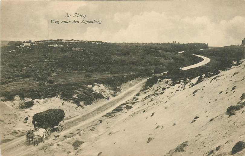 De Steeg Weg naar den Zijpenberg