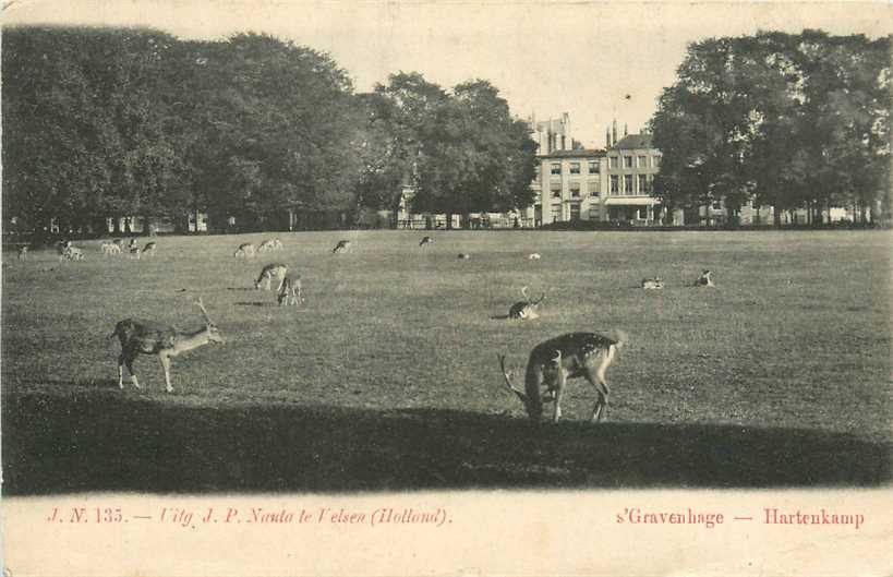 Den Haag Hertenkamp