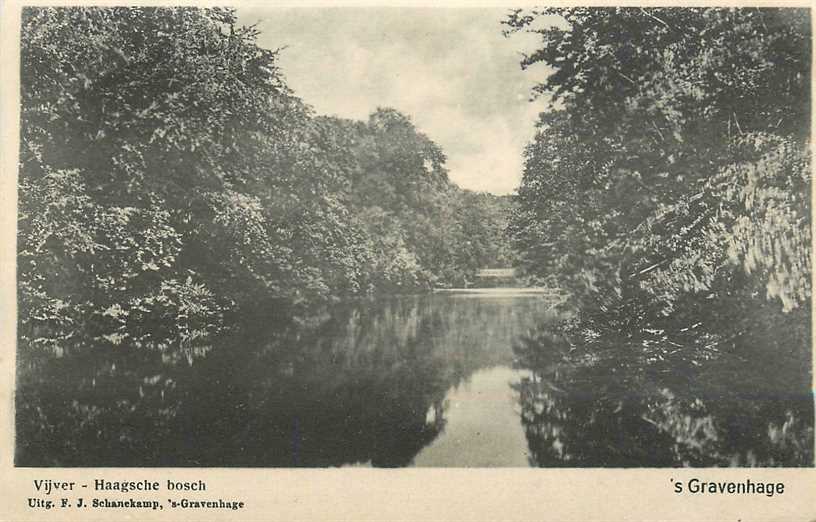 Den Haag Vijver Haagsche Bosch