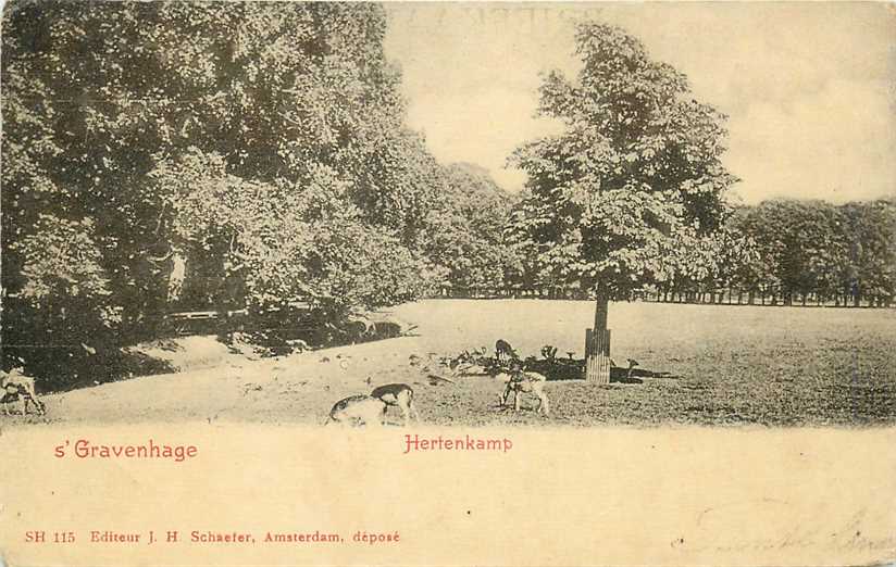 Den Haag Hertenkamp