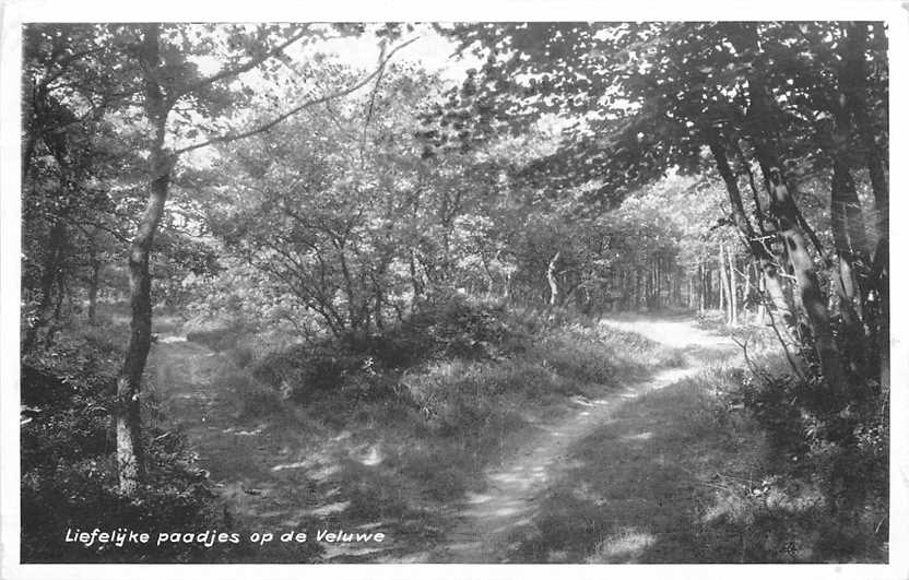 Op de Veluwe