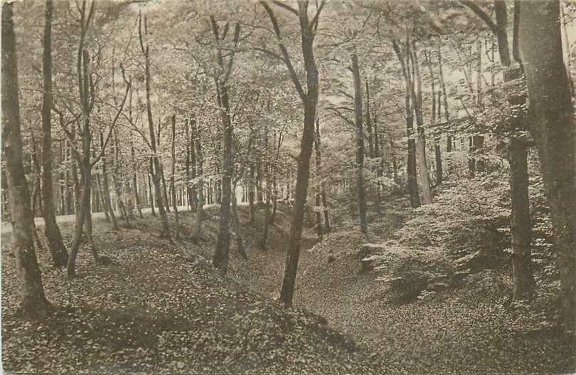 Montferland Dal