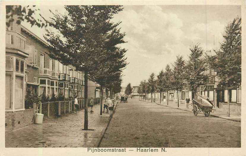 Haarlem Pijnboomstraat