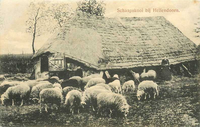 Hellendoorn Schaapskooi