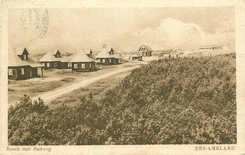 Nes Ameland Bosch met Badweg