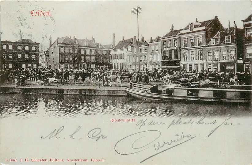 Leiden Beestenmarkt