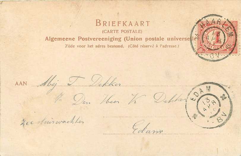 Nederland Hyacinthenvelden