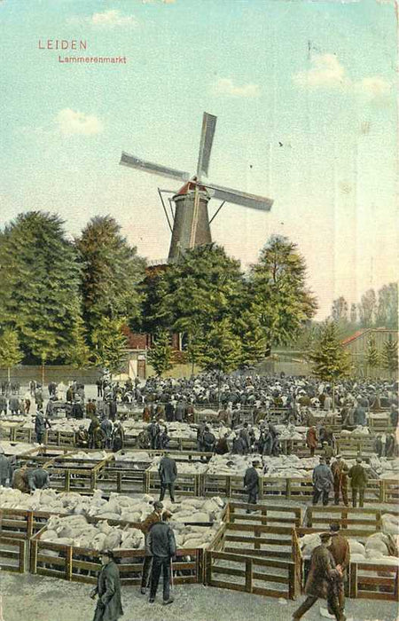 Leiden Lammerenmarkt