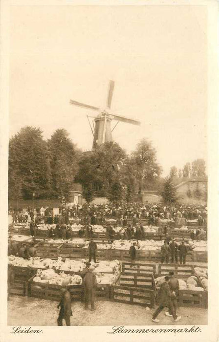 Leiden Lammerenmarkt