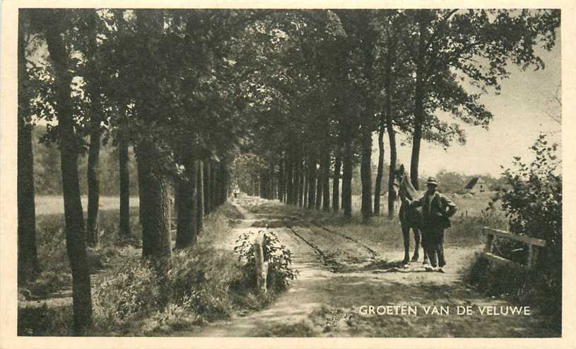 Veluwe