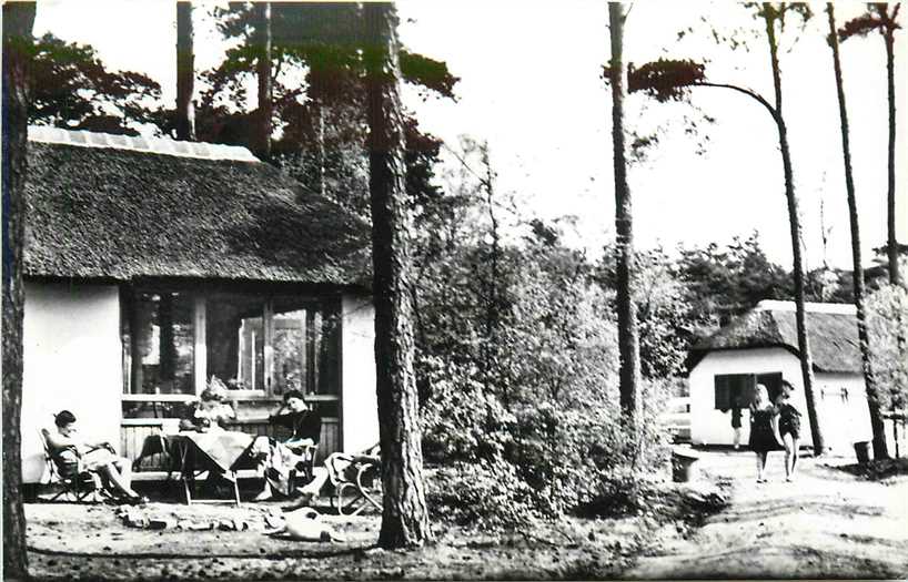 Doorn Het Grote Bos