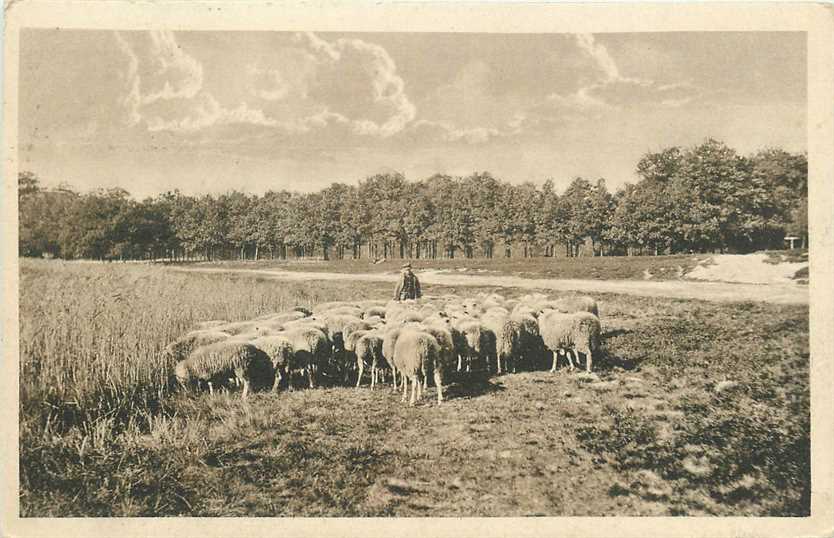 Veluwe