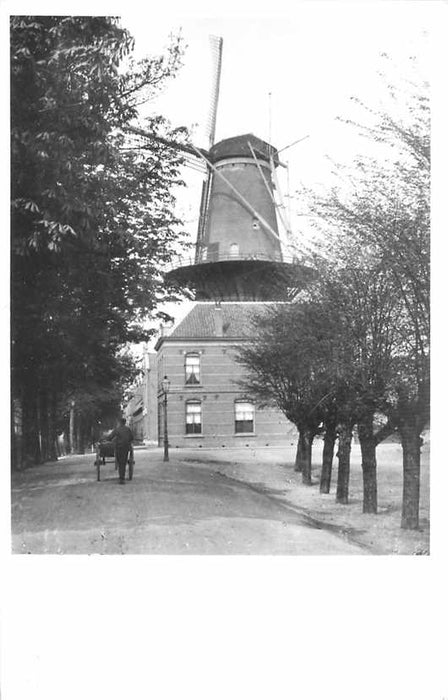 Dordrecht Noordendijk