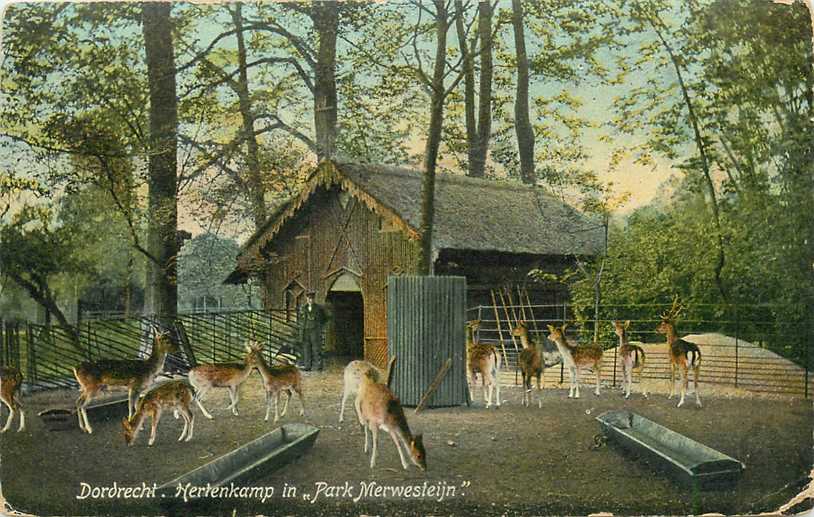 Dordrecht Park Merwestein