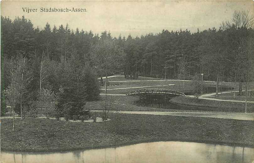 Assen Vijver Stadsbosch