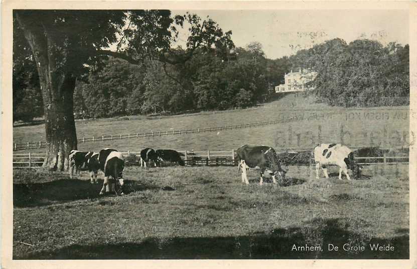 Arnhem De Grote Weide