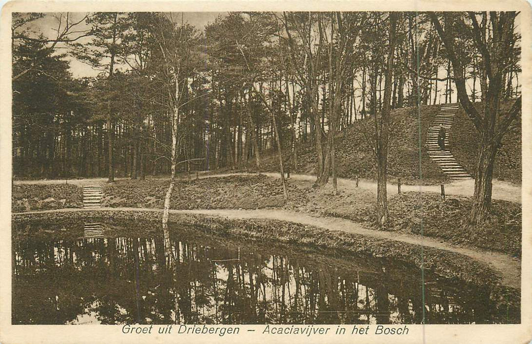 Driebergen Acaciavijver in het Bosch