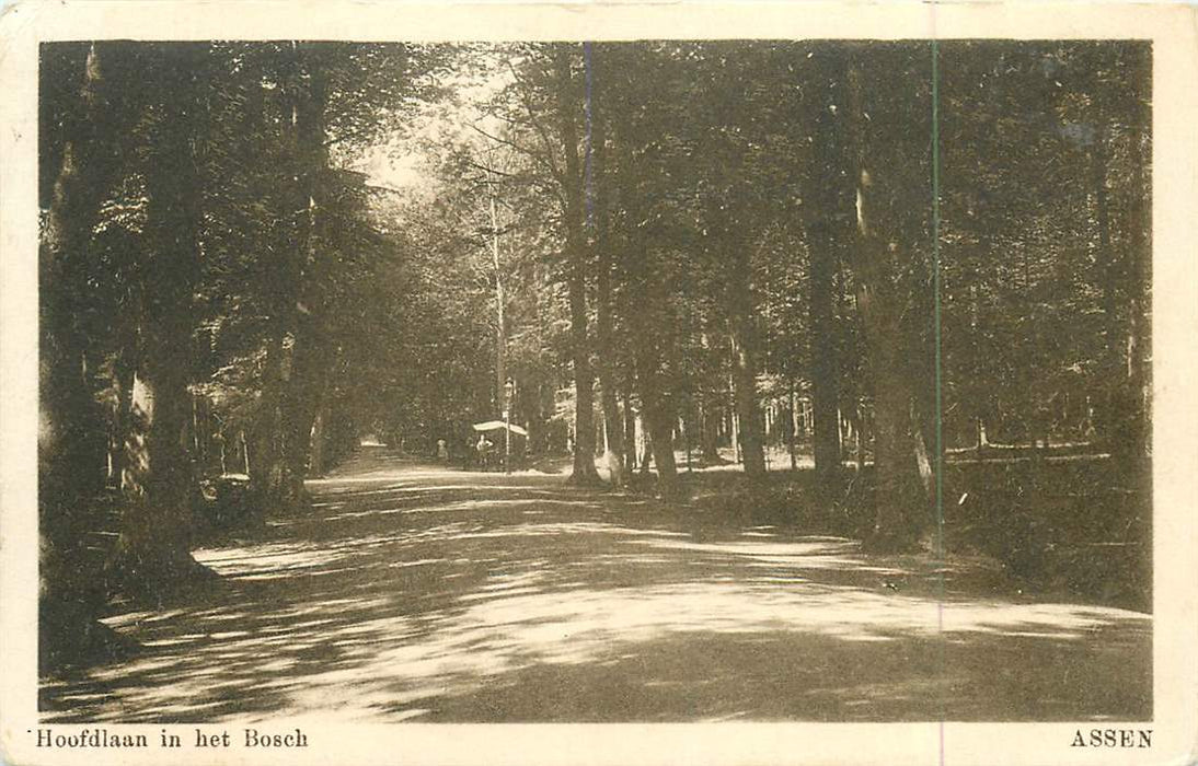 Assen Hoofdlaan in het Bosch