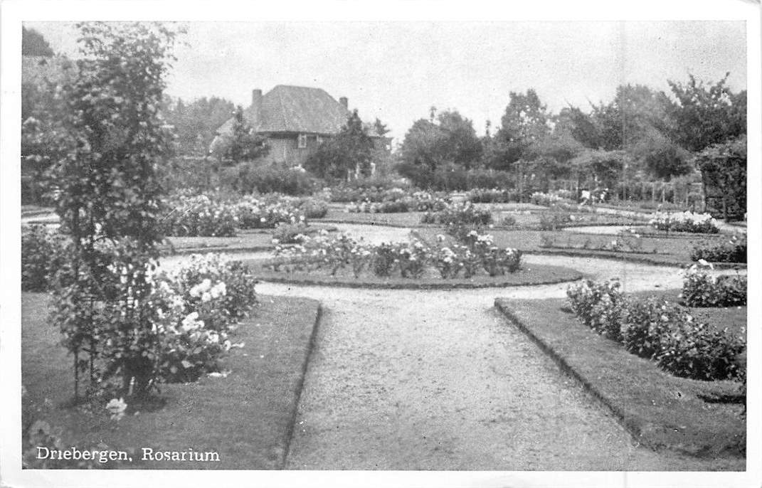 Driebergen Rosarium