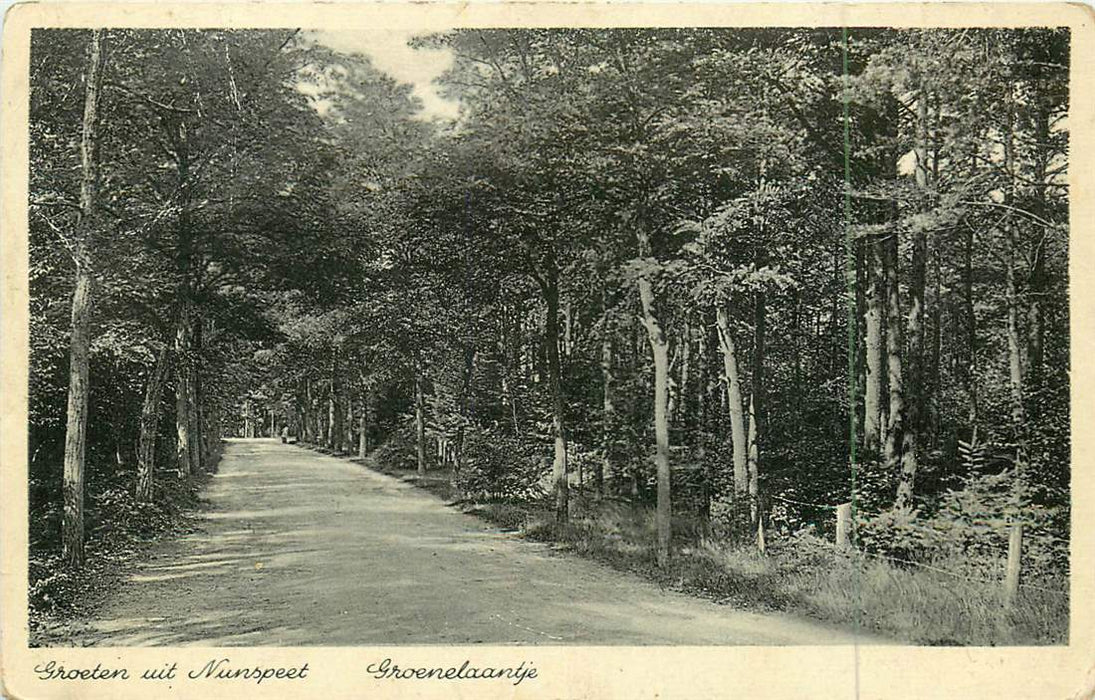 Nunspeet Groeten uit groenelaantje