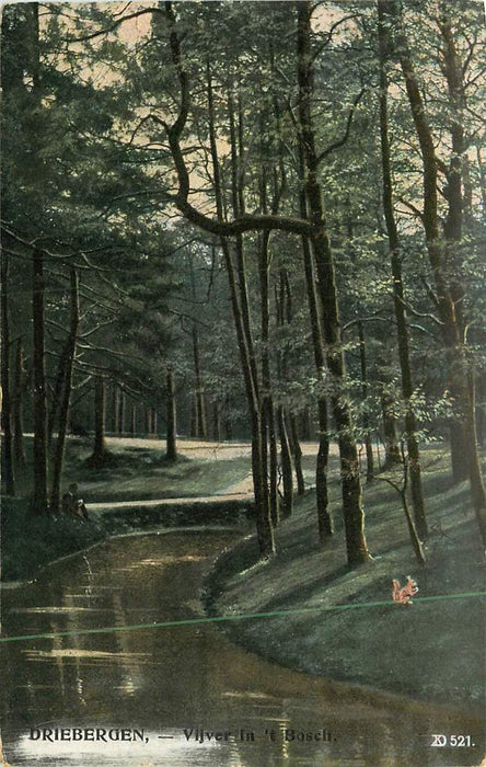 Driebergen Vijver in 't Bosch