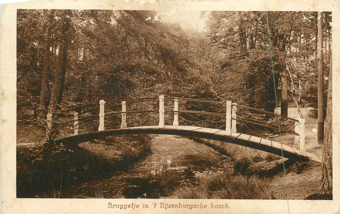 Rijsenburg Bruggetje in 't Bosch