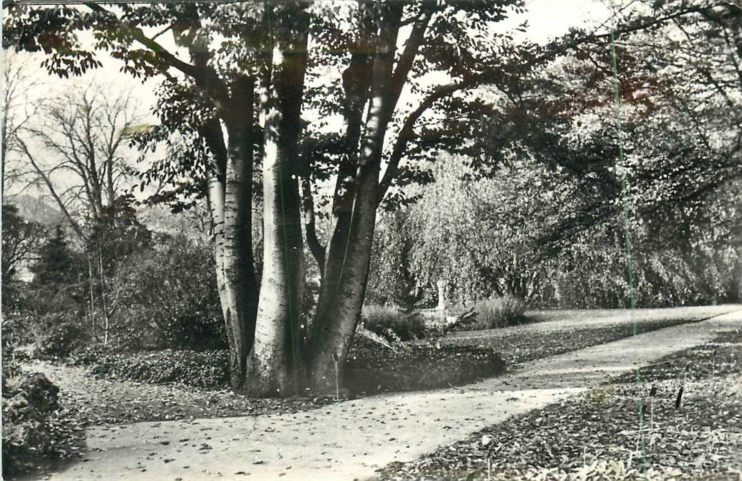 Leiden Botanicus