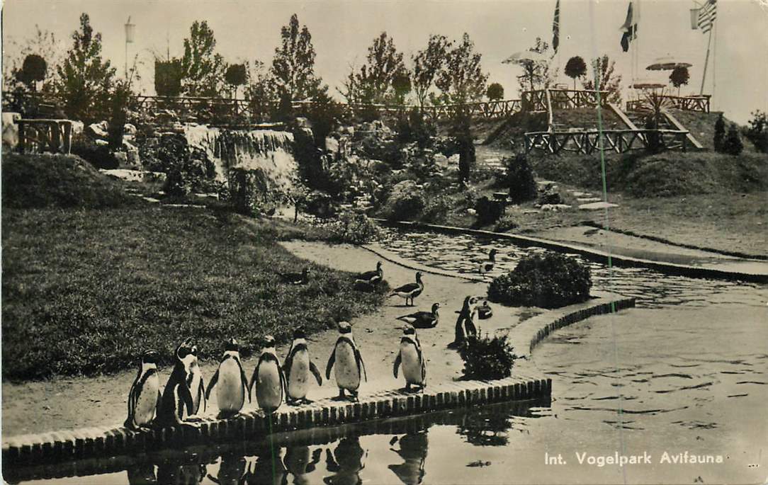 Alphen aan de Rijn Int. Vogelpark Avifauna