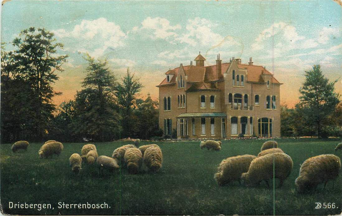 Driebergen Sterrenbosch