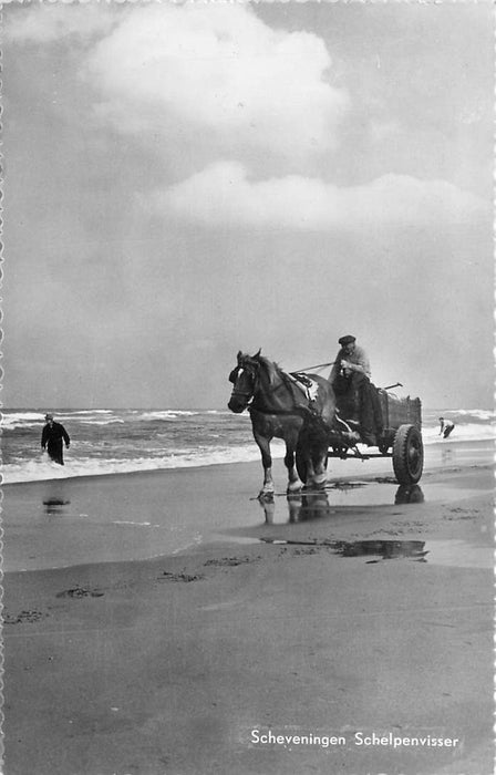 Scheveningen Schelpenvisser