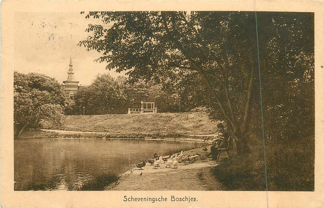 Den Haag Scheveningsche Boschjes