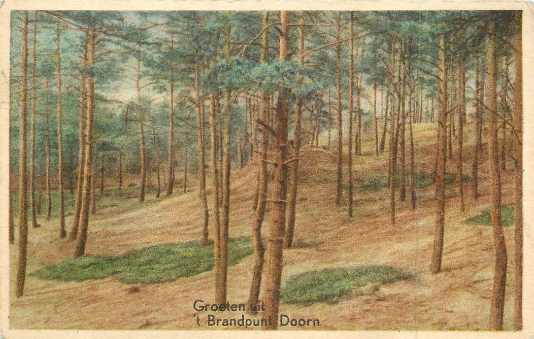 Doorn t Brandpunt