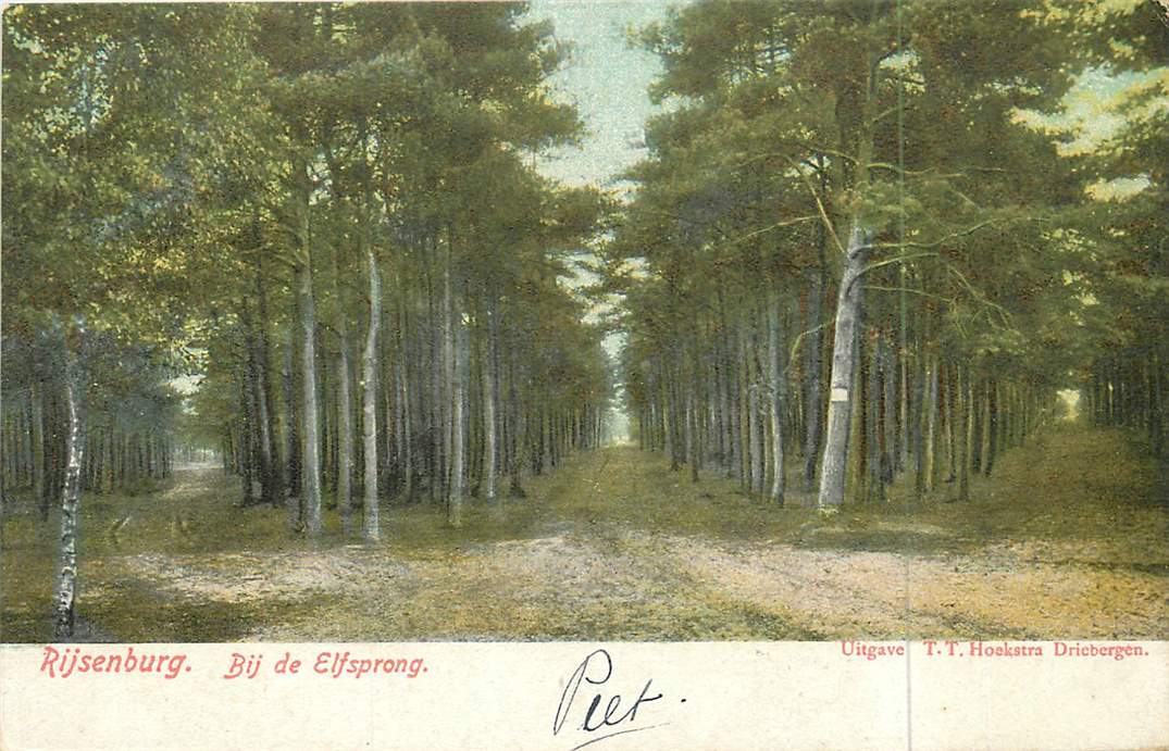 Rijsenburg Bij de Elfsprong