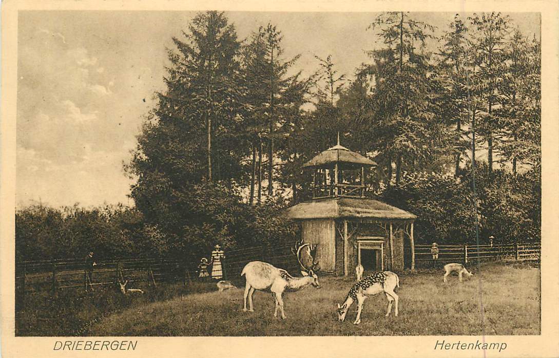 Driebergen Hertenkamp