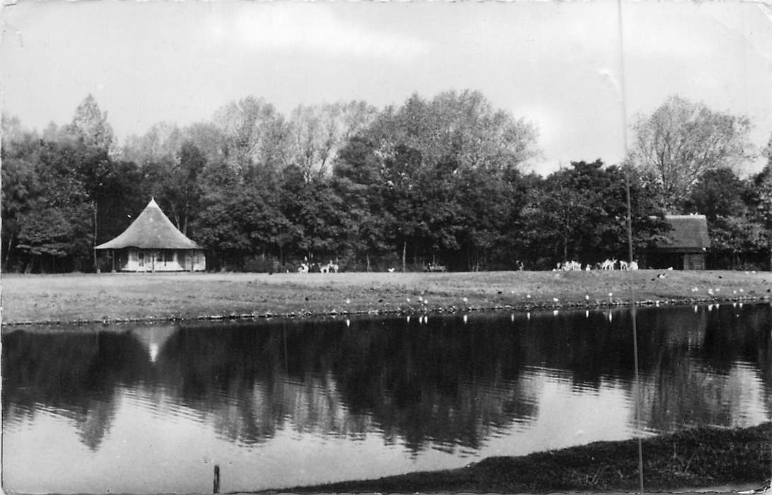 Leiden Hertenkamp Leidse Hout