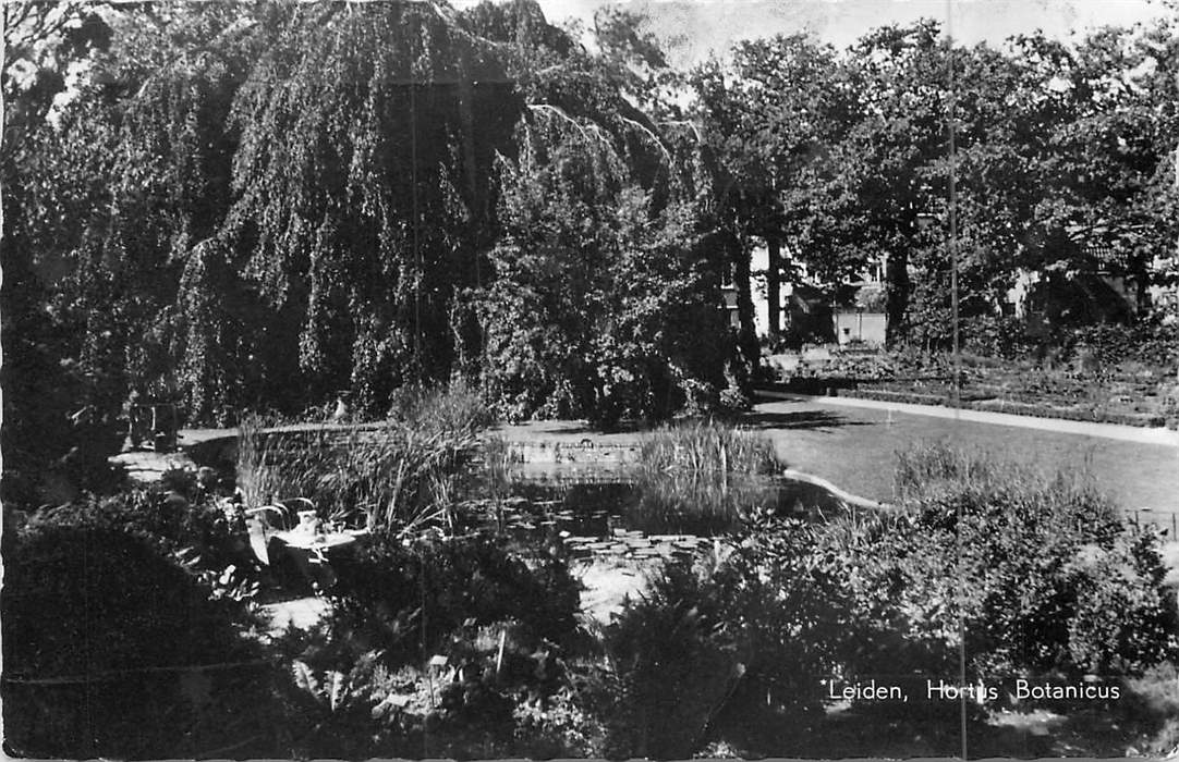 Leiden Hortus Botanicus