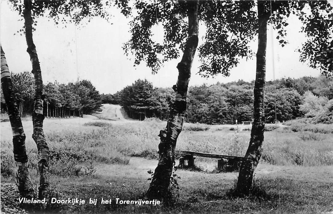 Vlieland Doorkijkje bij het Torenvijvertje