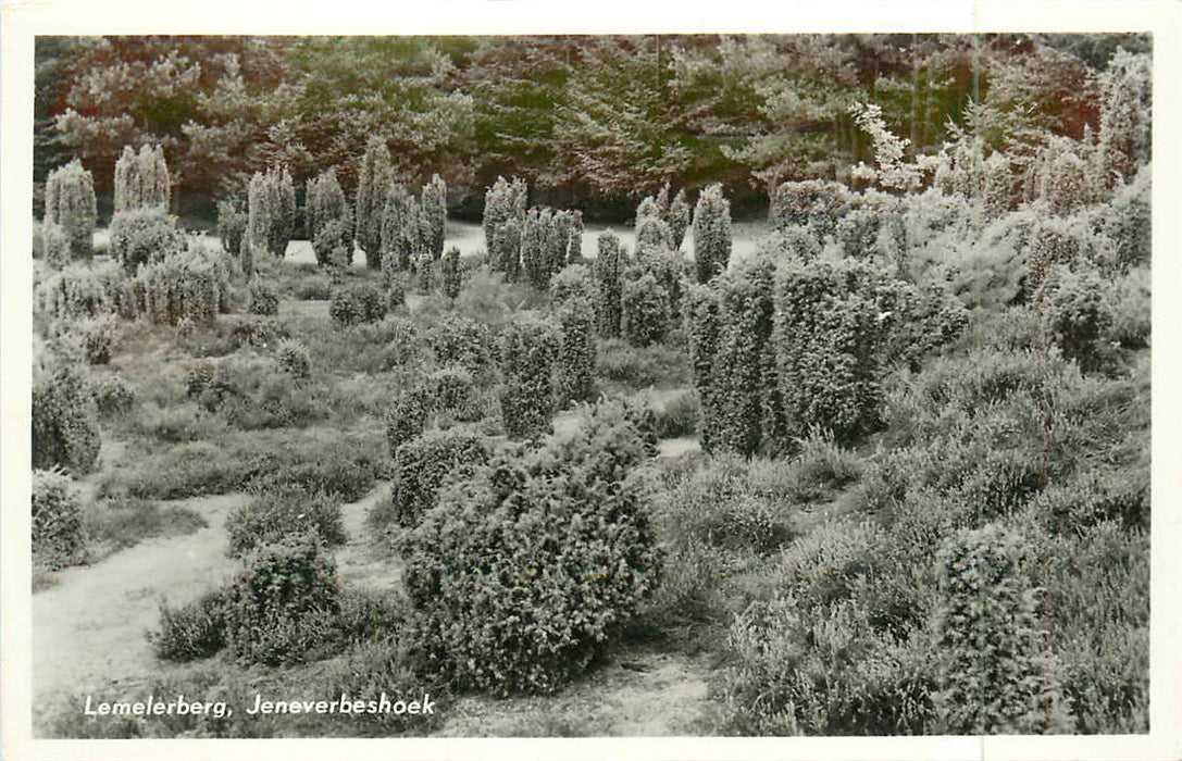 Lemelerberg Jeneverbeshoek