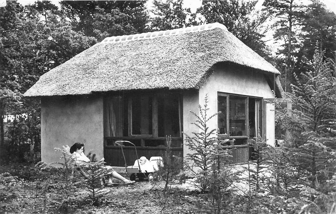 Doorn Het Grote Bos