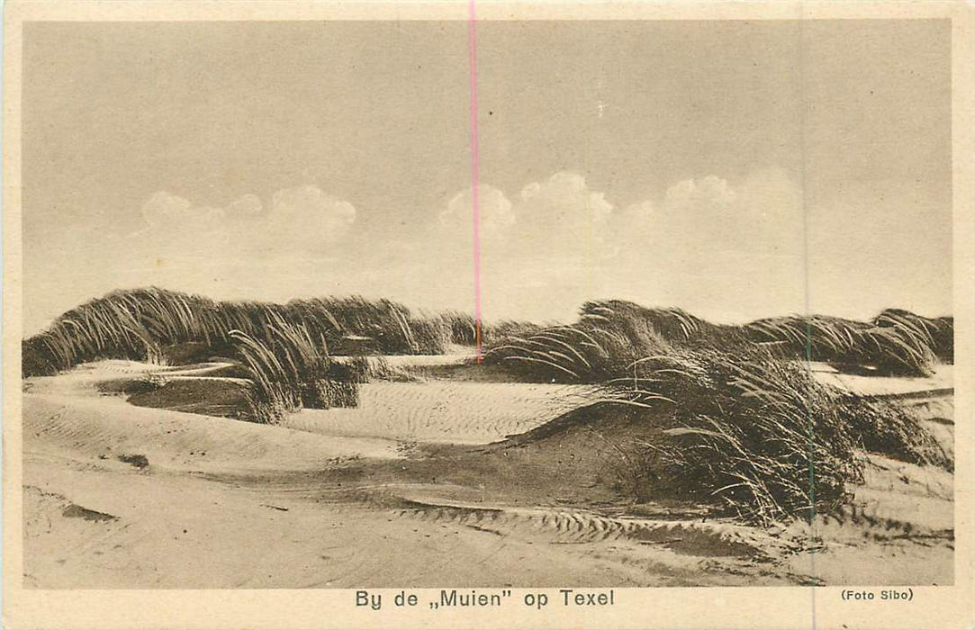 Texel Bij de Muien