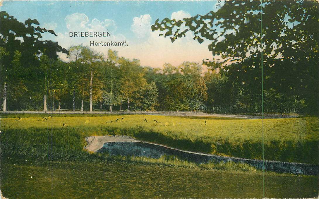 Driebergen Hertenkamp