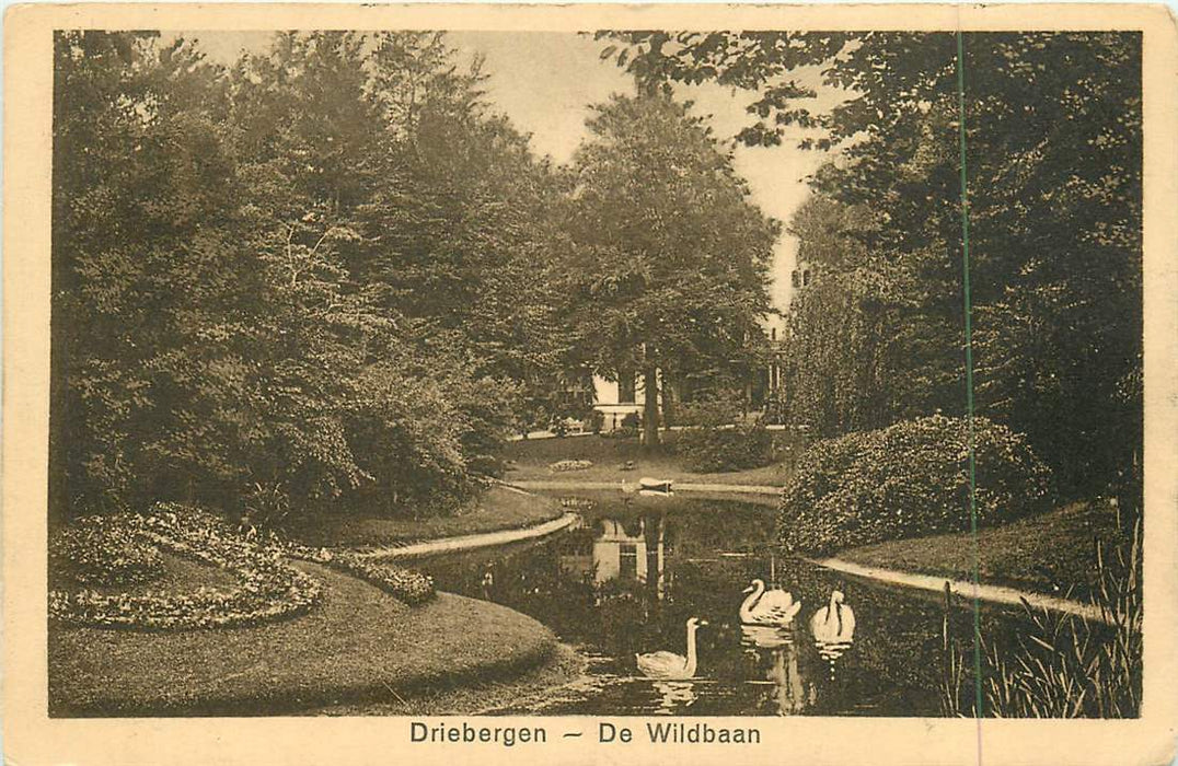 Driebergen De Wildbaan