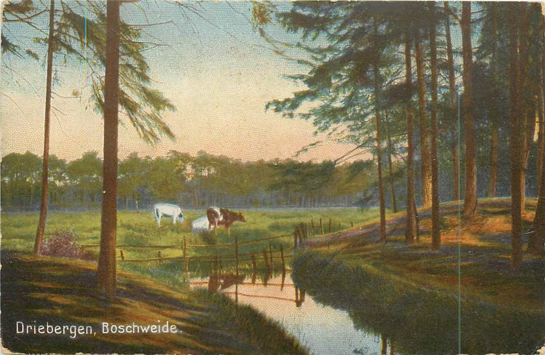 Driebergen Boschweide