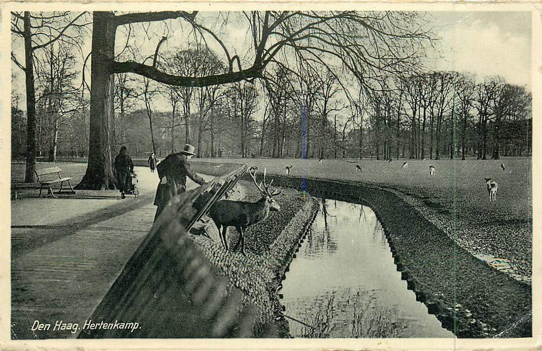 Den Haag Hertenkamp