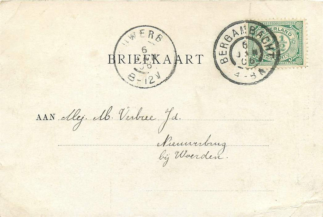 Vereeniging het Nederlandsche Zeewezen