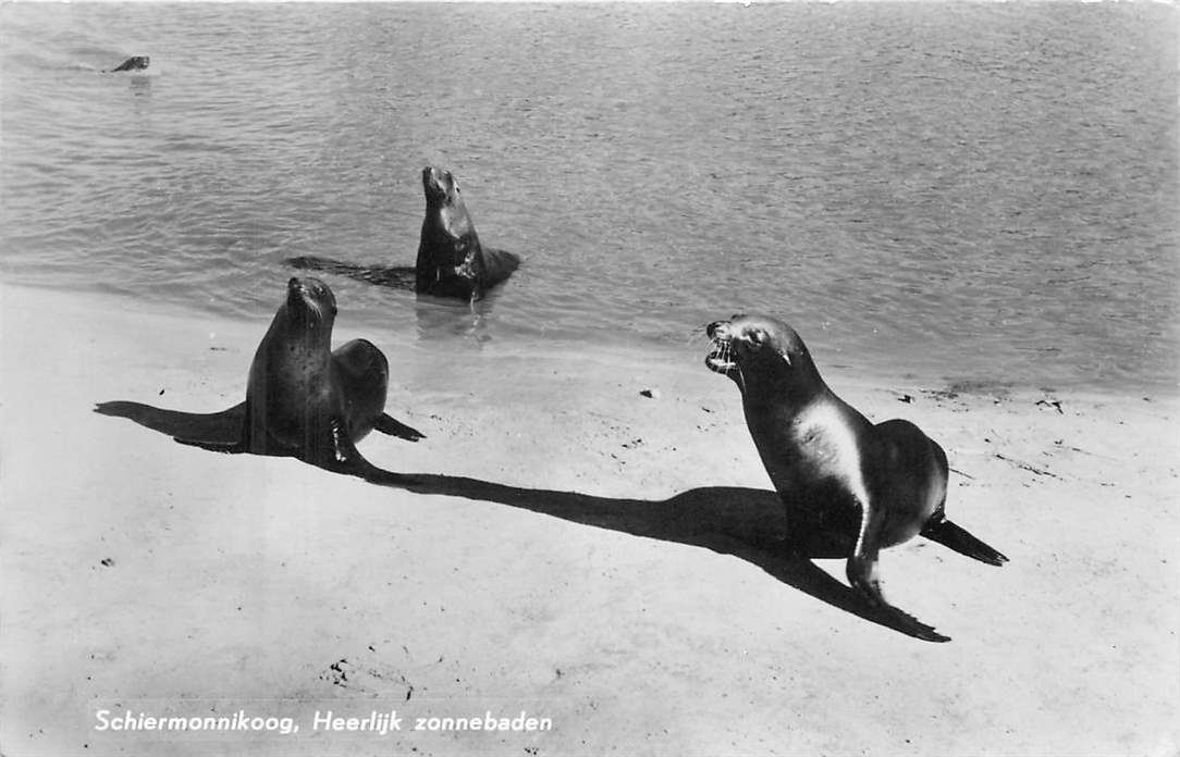 Schiermonnikoog Heerlijk zonnebaden