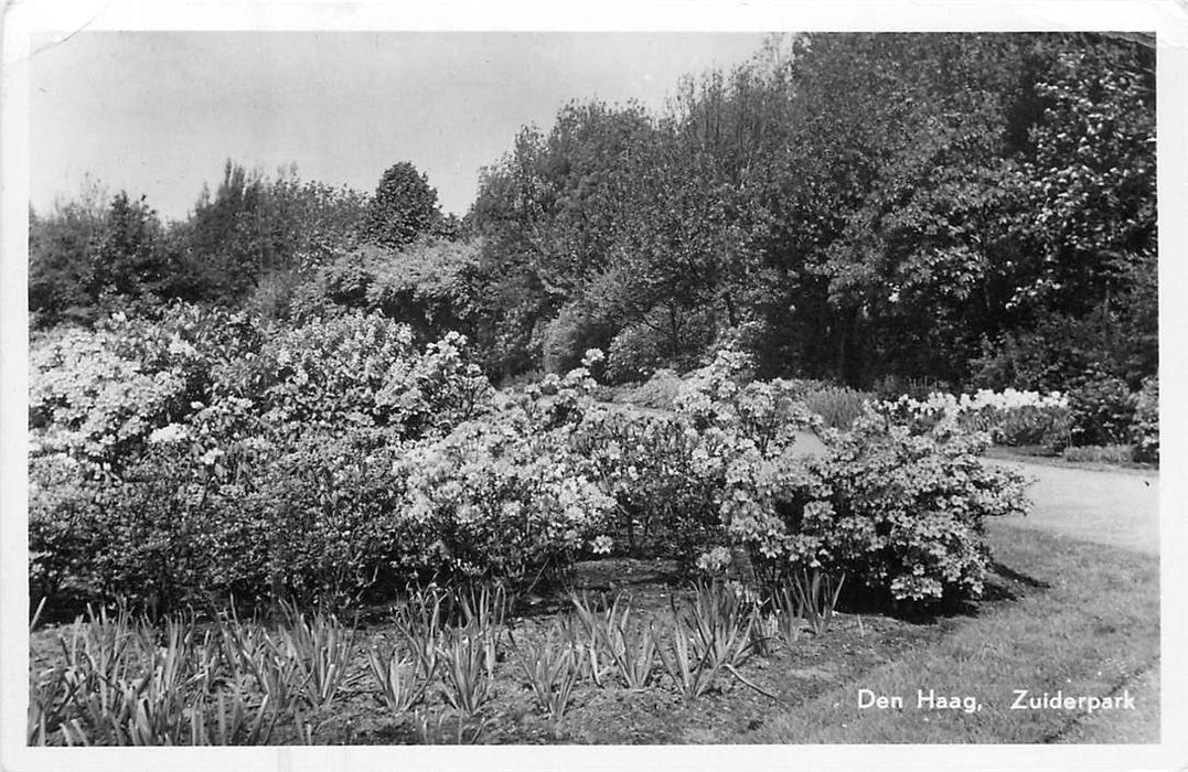 Den Haag Zuiderpark